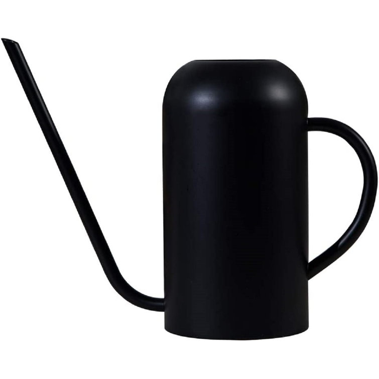 simple Long Spout Watering Can Wayfair